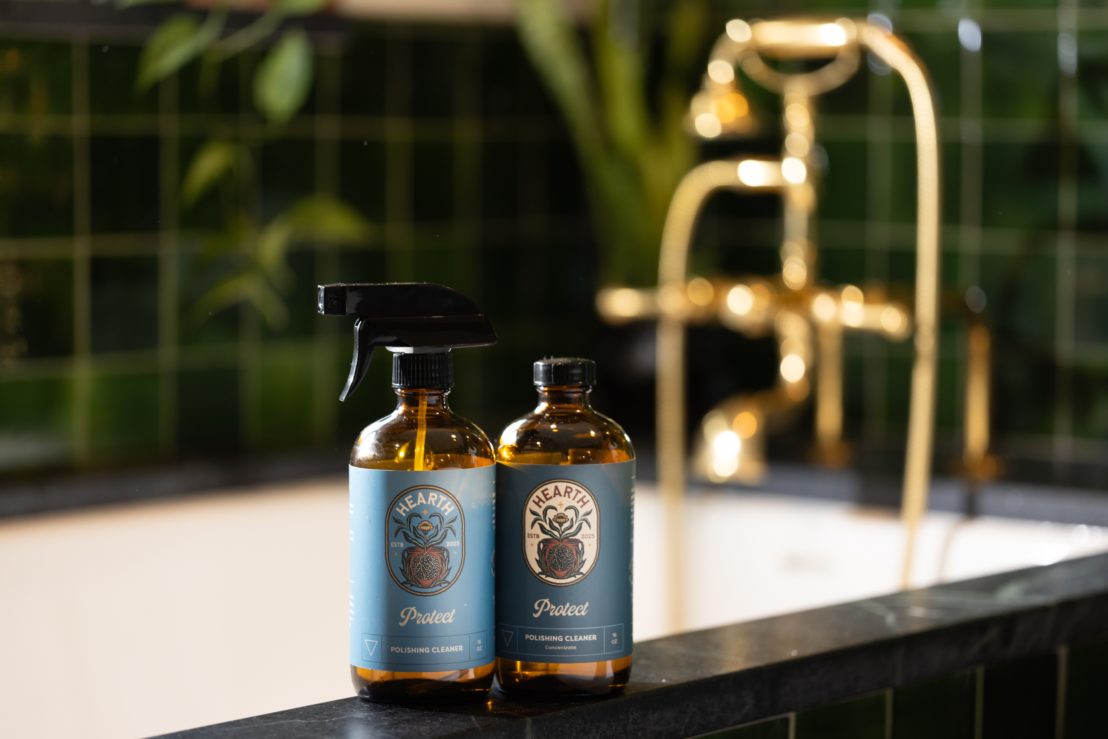 Protect Polishing Cleaner Concentrate