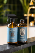Protect Home Care Ritual Kit| Glass and Stainless Steel Cleaner Concentrate with matching Spray Bottle