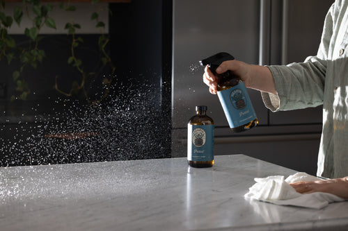 Protect -Polishing Cleaner Concentrate