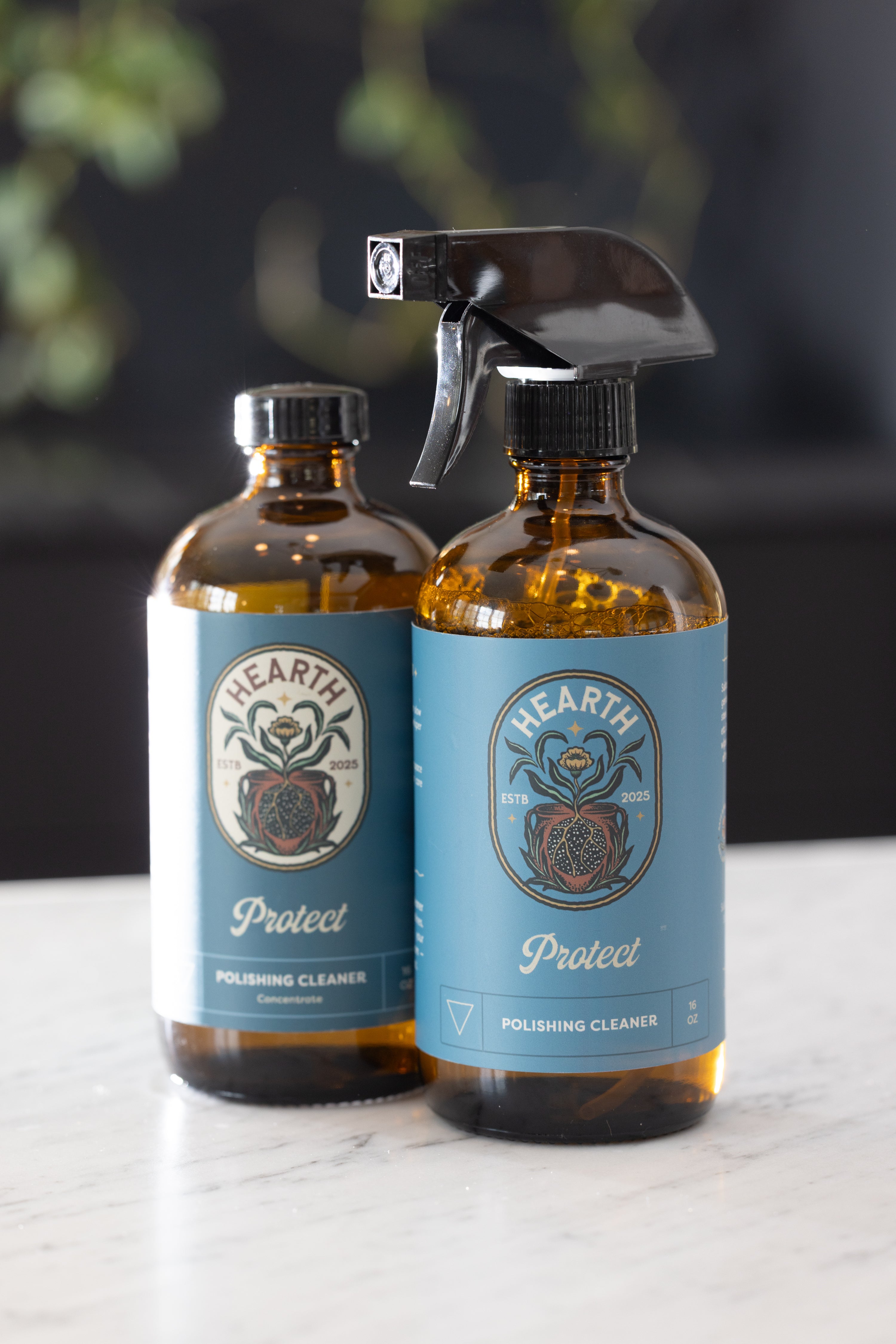 Protect -Polishing Cleaner Concentrate