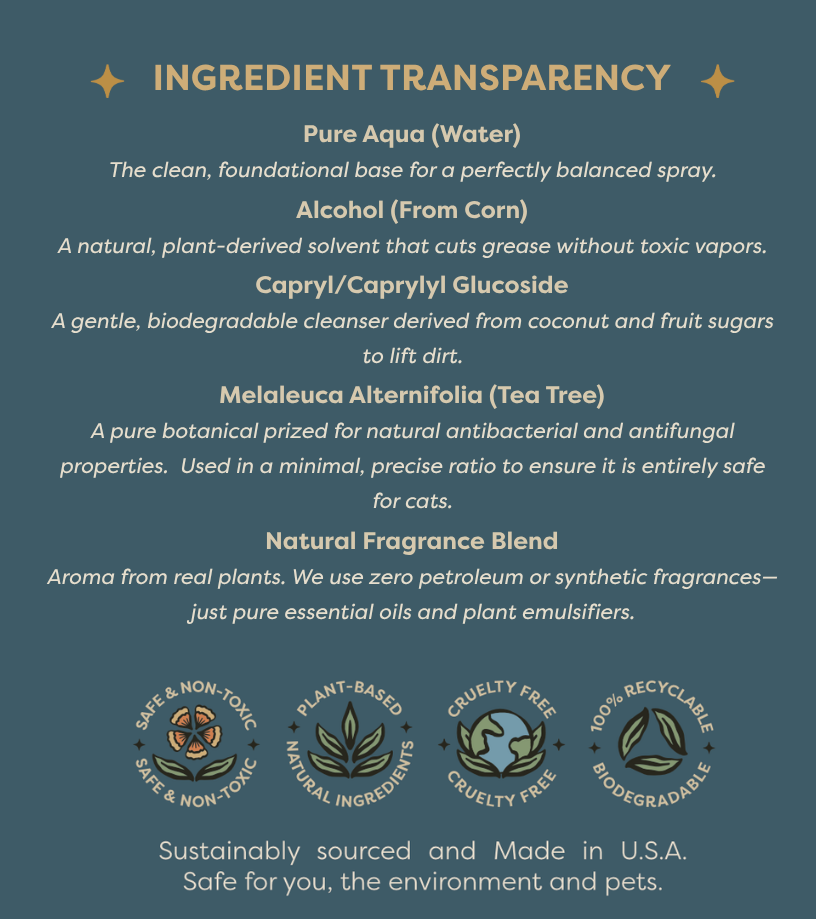 Protect Polishing Cleaner Concentrate