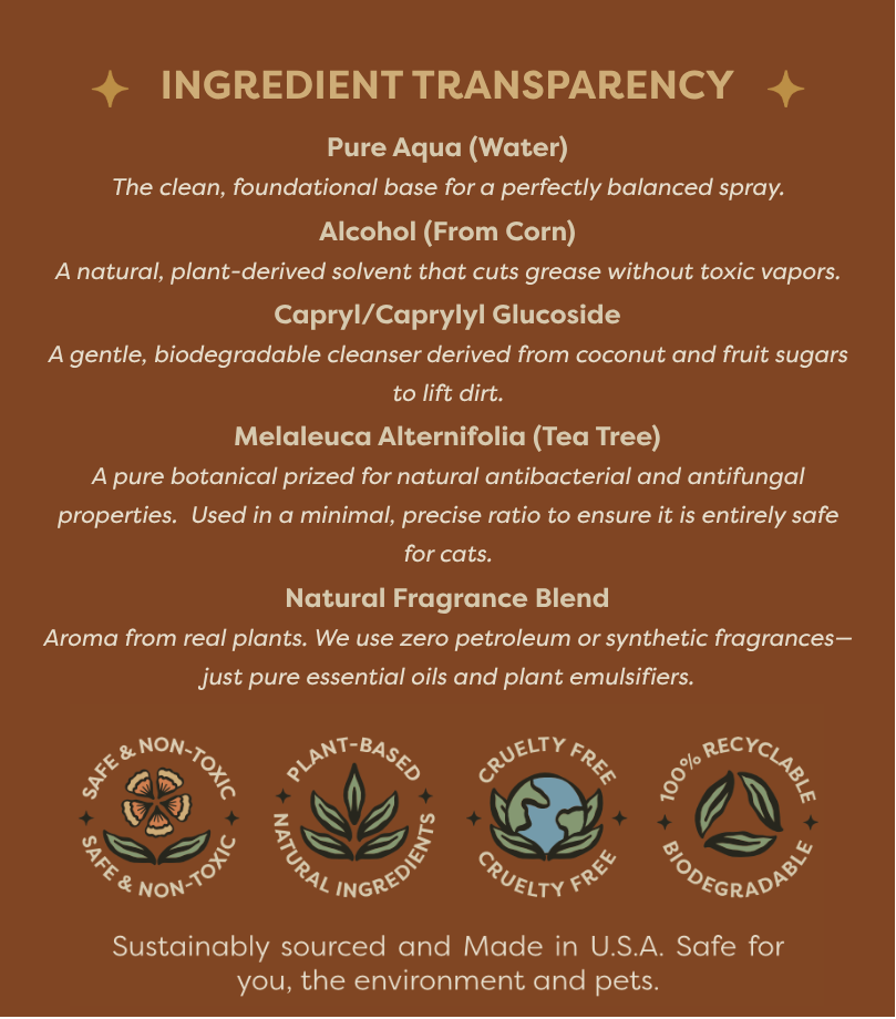 Transform All Purpose Concentrate